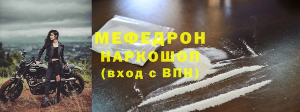 прущие грибы Богданович