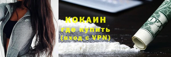 дживик Богородск