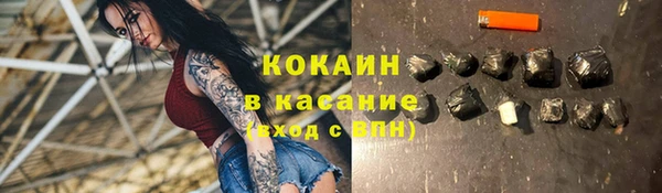 прущие грибы Богданович