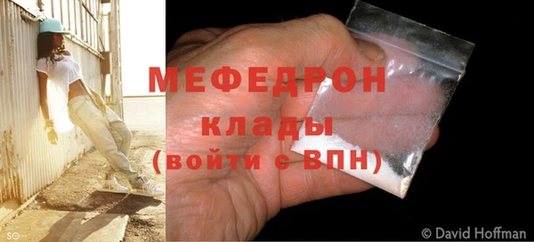 прущие грибы Богданович