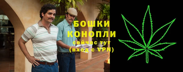 дживик Богородск