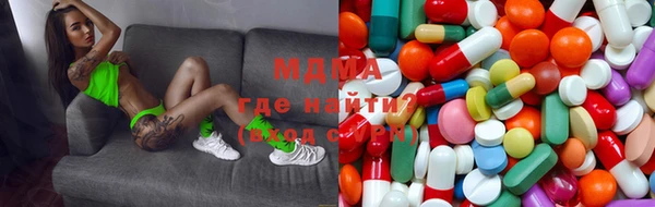 прущие грибы Богданович