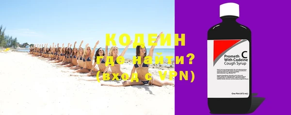 прущие грибы Богданович