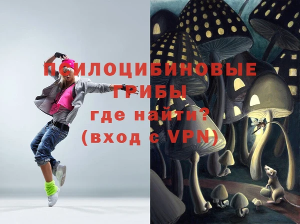 дживик Богородск