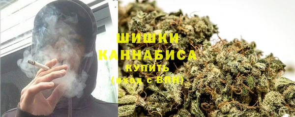 тгк Белокуриха