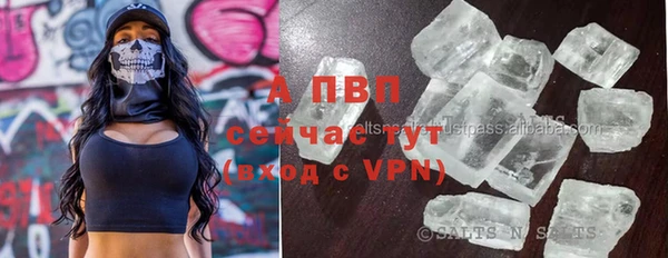 тгк Белокуриха