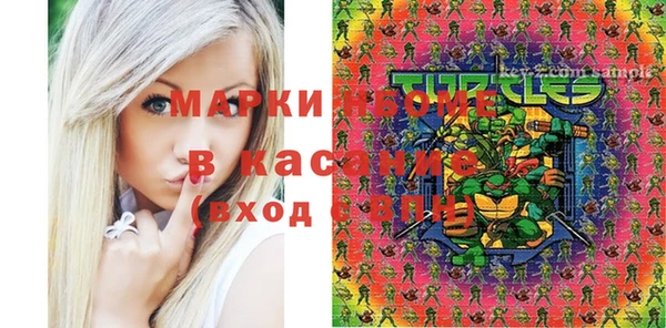 прущие грибы Богданович