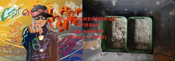дживик Богородск